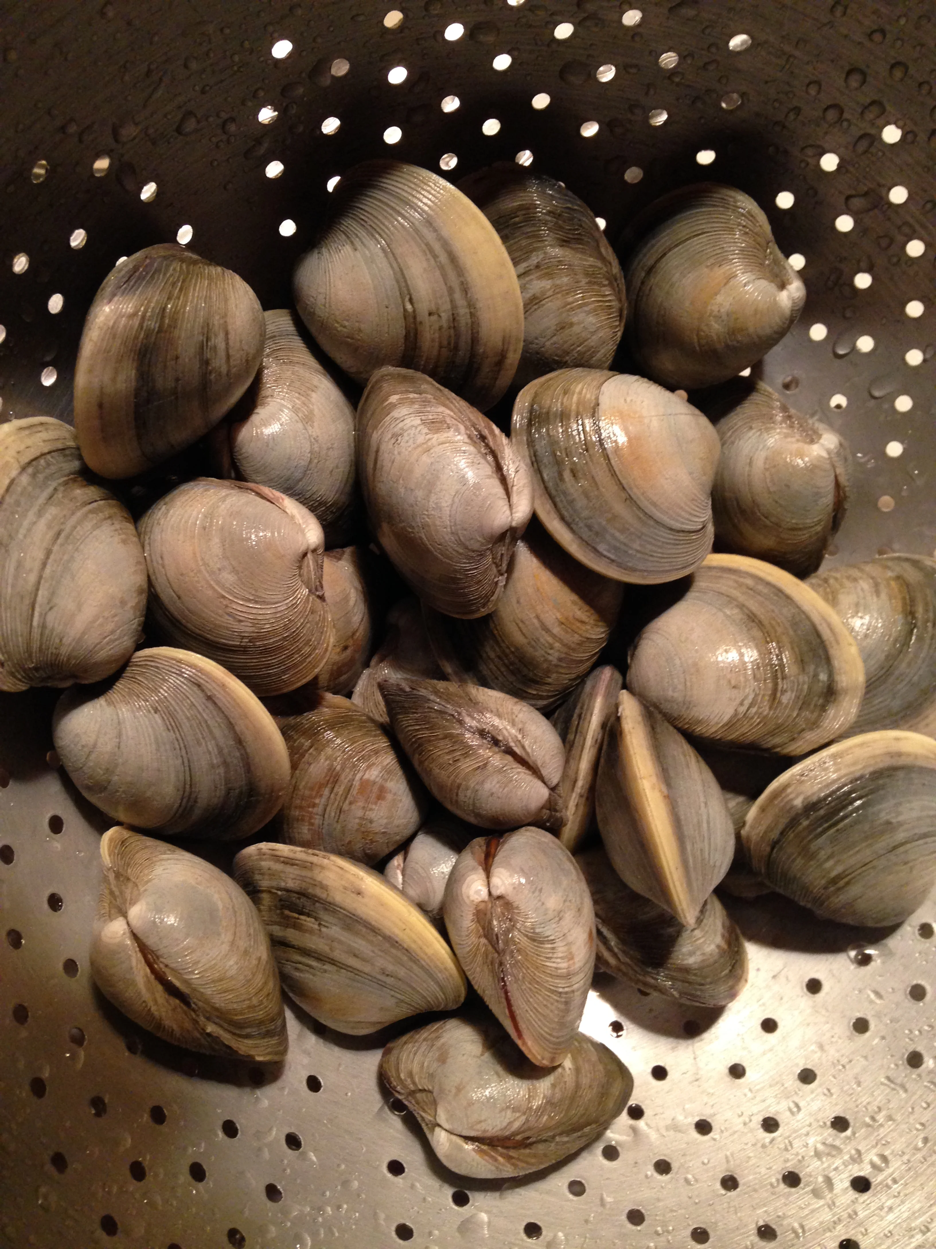 Clams, garlic, white wine, lemon zest and juice, parsley, pasta.