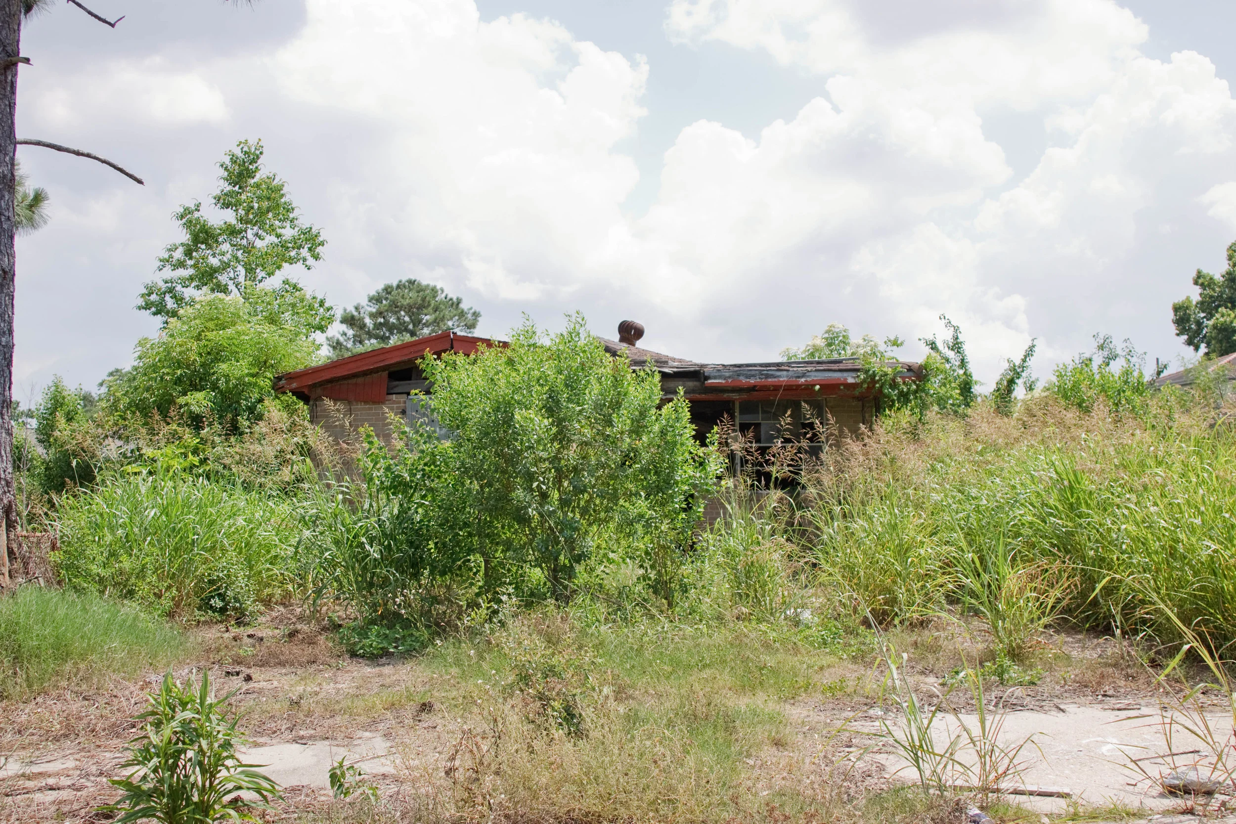  Overgrown area around a damaged house, May 26, 2010. 