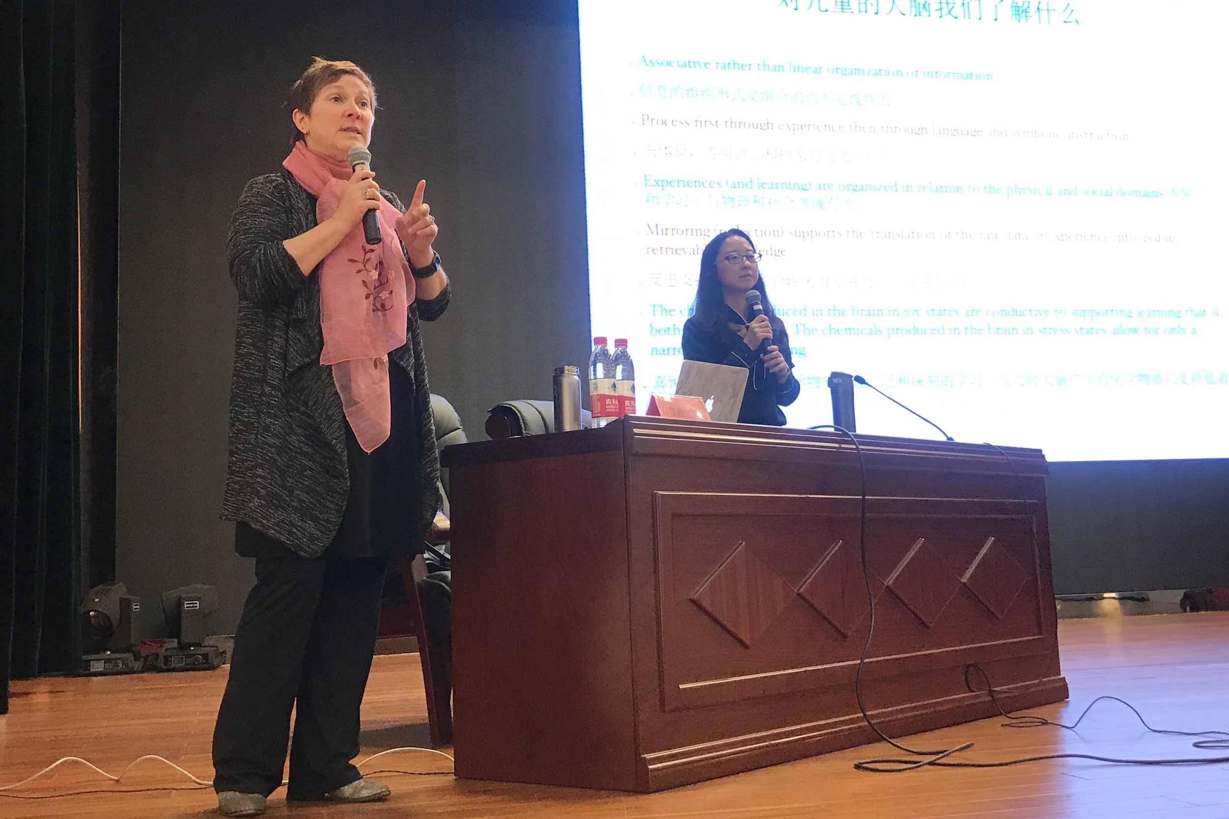 Dr. Bailey addresses policy-makers from the Zhejiang Province Office of Education on Novmeber 3, 2017.