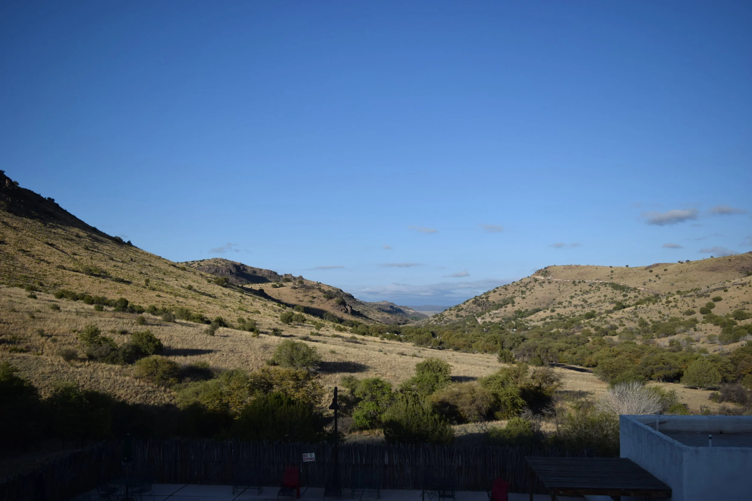 DSC_0056.jpg