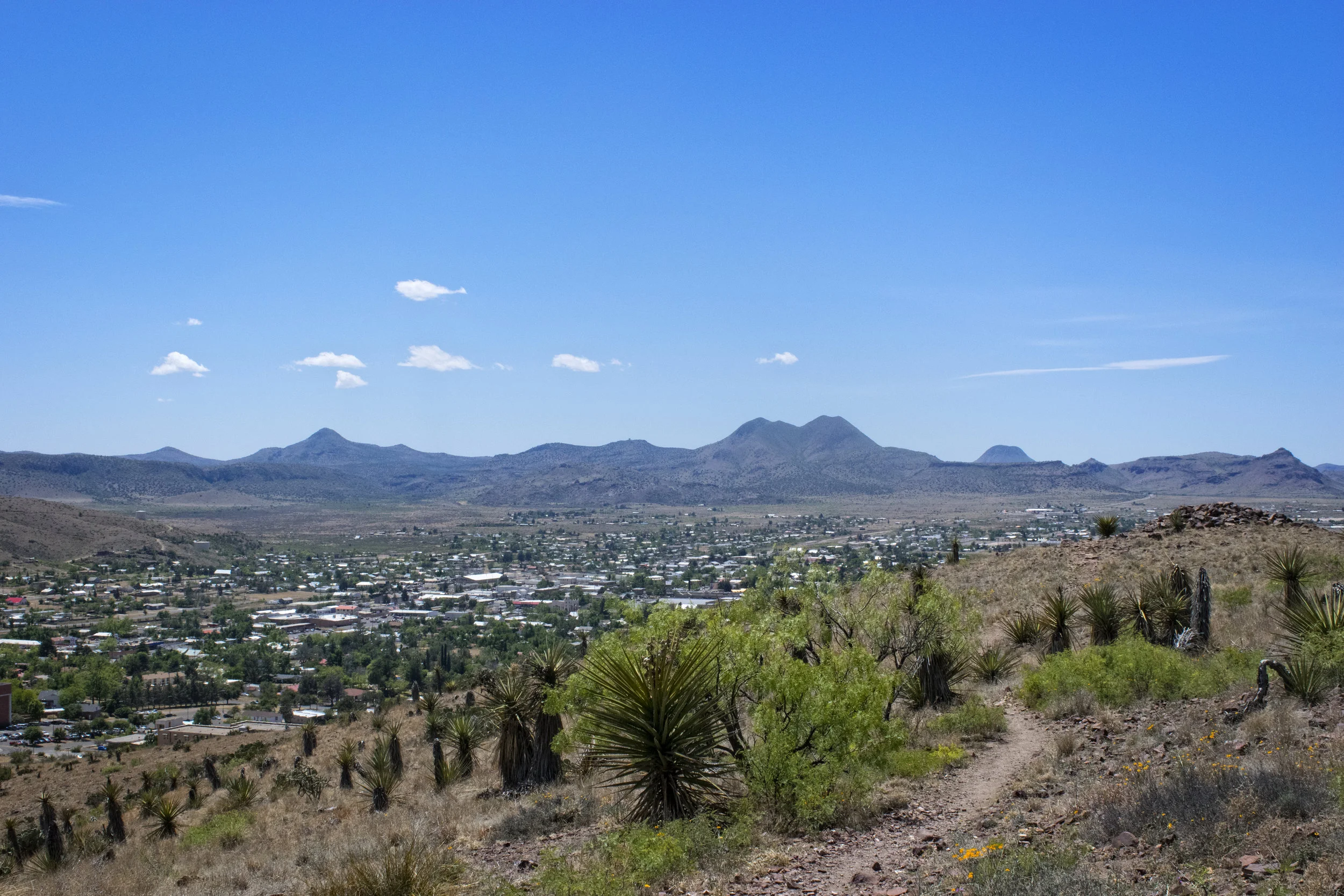 DSC_0276.jpg