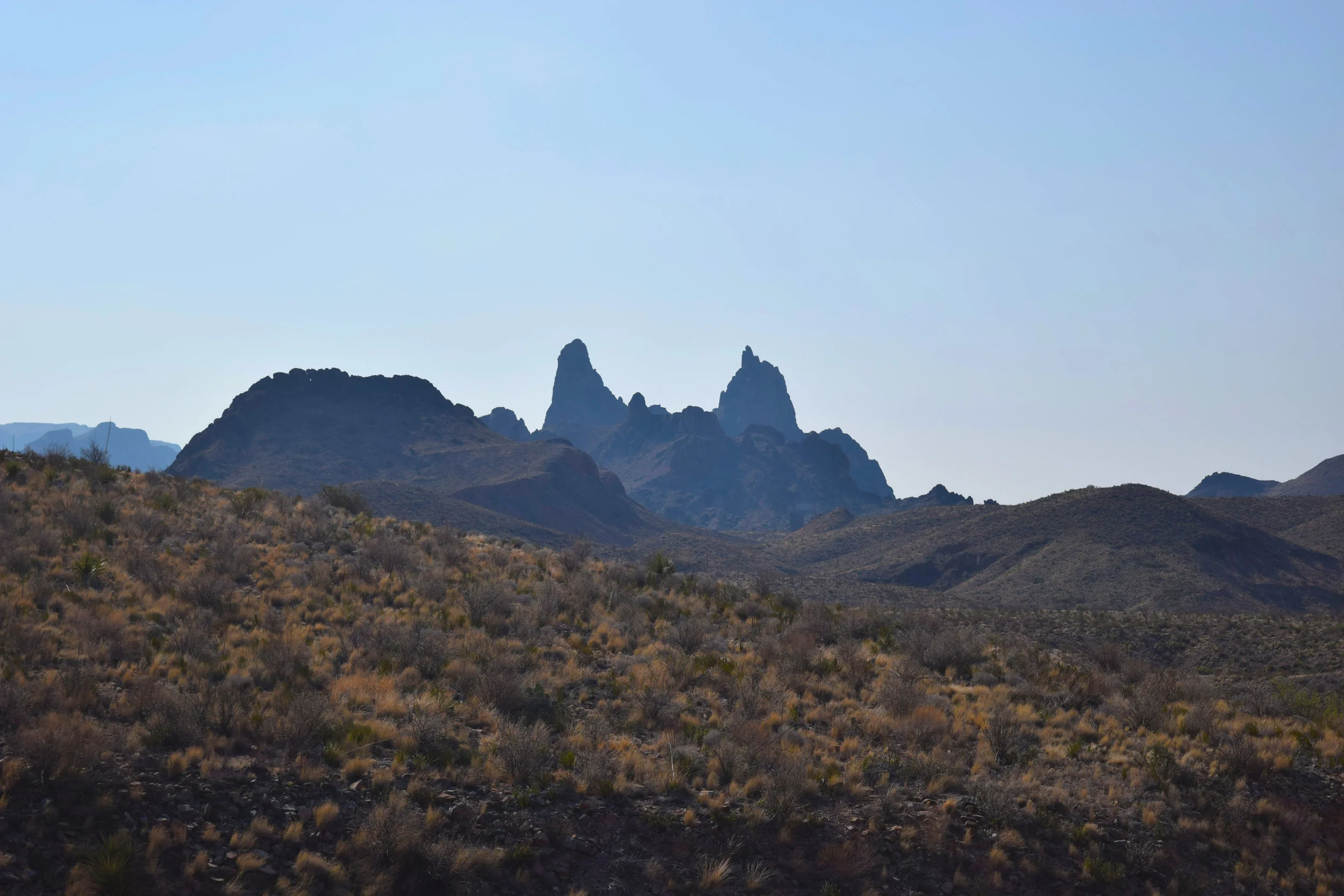 DSC_0534.jpg