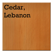 Cedar, Lebanon.png
