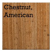 Chestnut, American.png