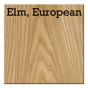 Elm, European.png