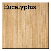 Eucalyptus.png