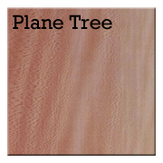 Plane Tree.png