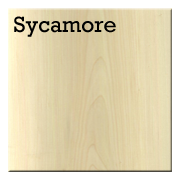 Sycamore.png