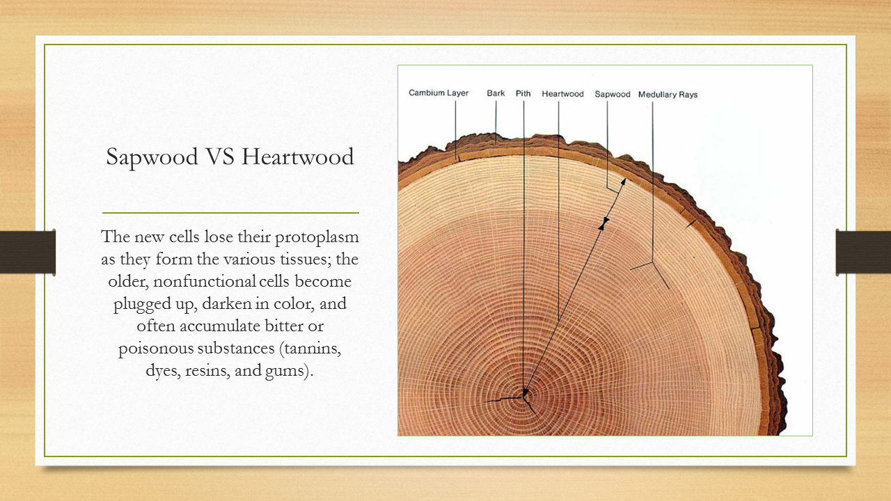 Slide6.jpg