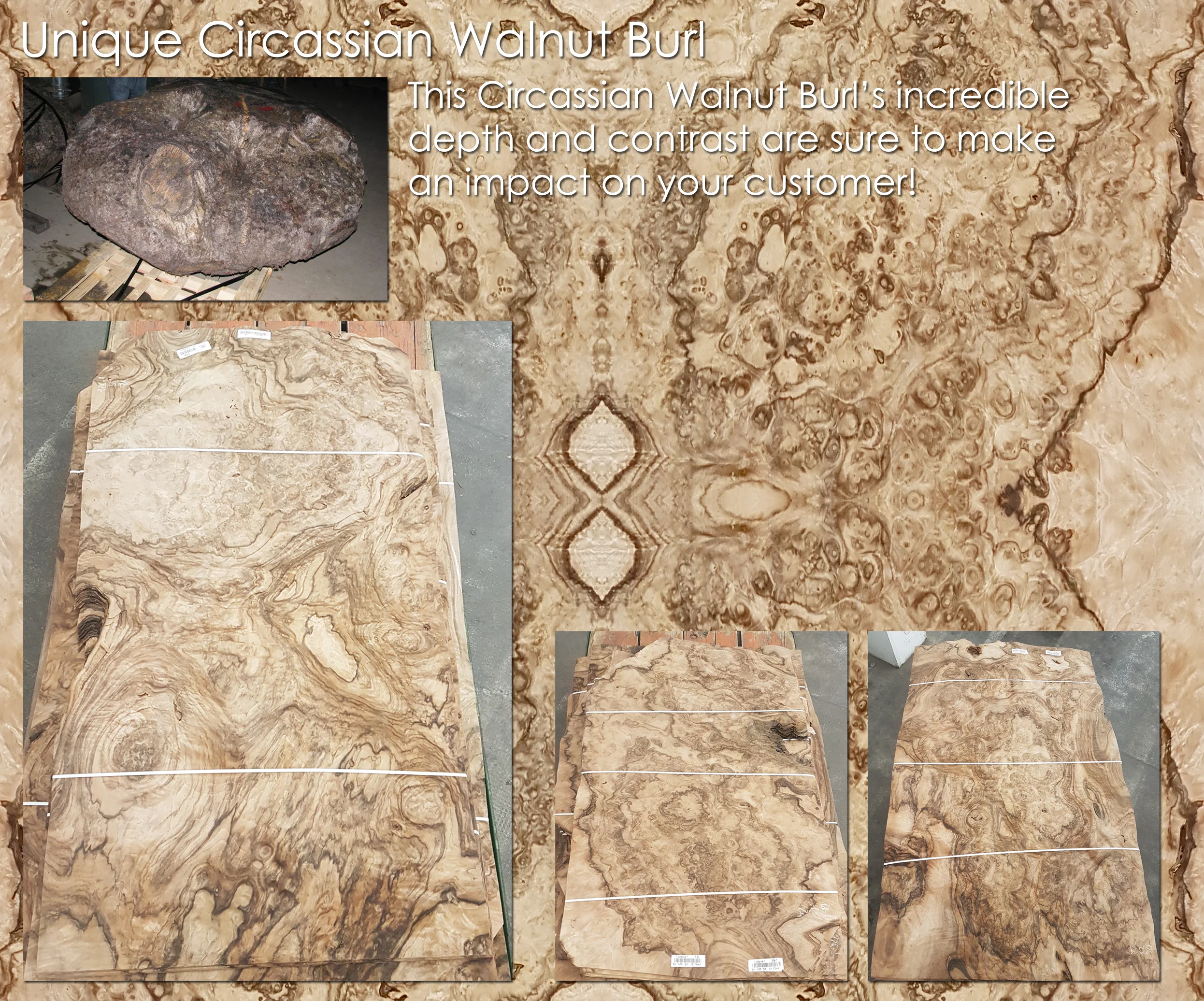 AA Circassian Walnut Burl — The Veneer Source - Your Source For High