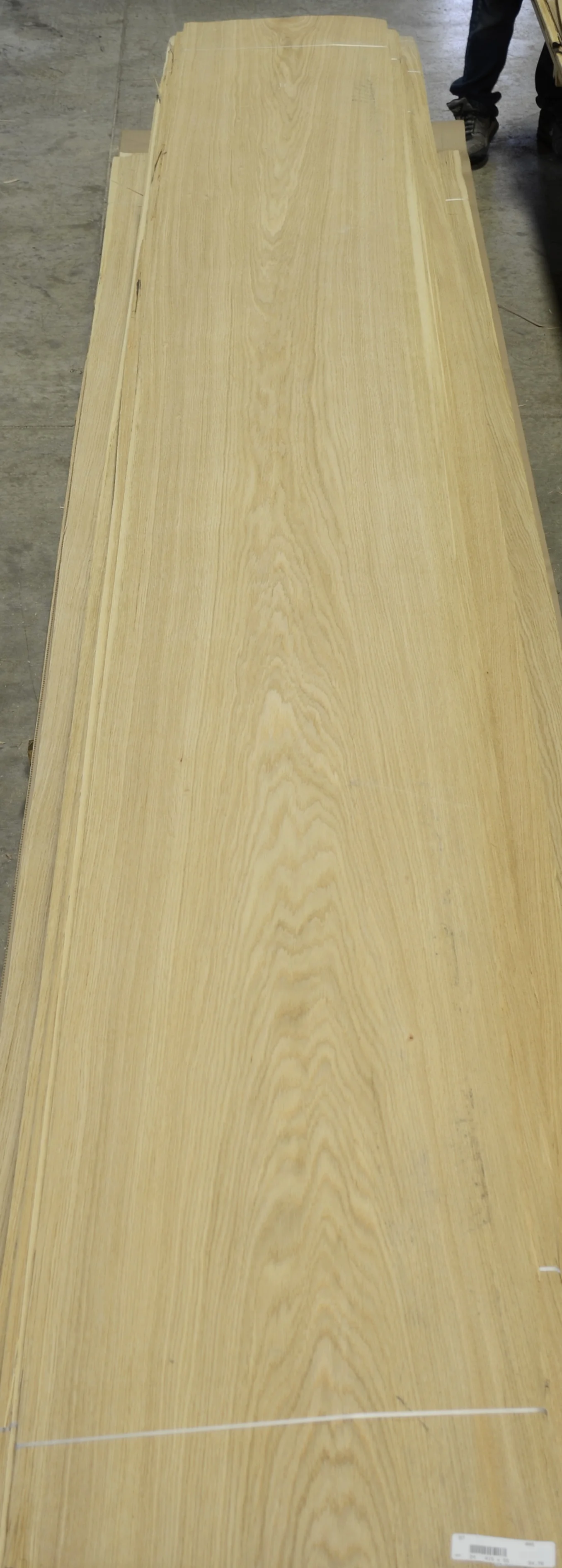 Oak, White #57 (4).JPG