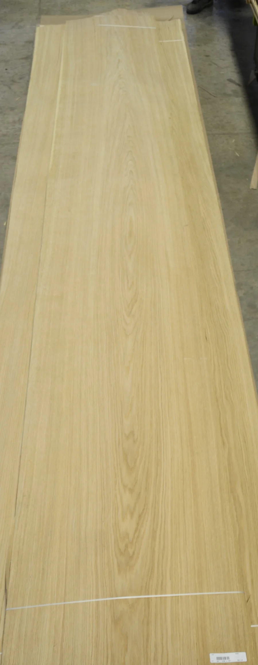 Oak, White #57 (24).JPG