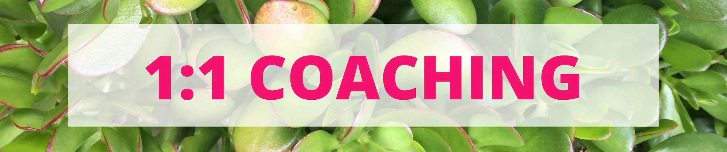 1_1 COACHING banner.jpg