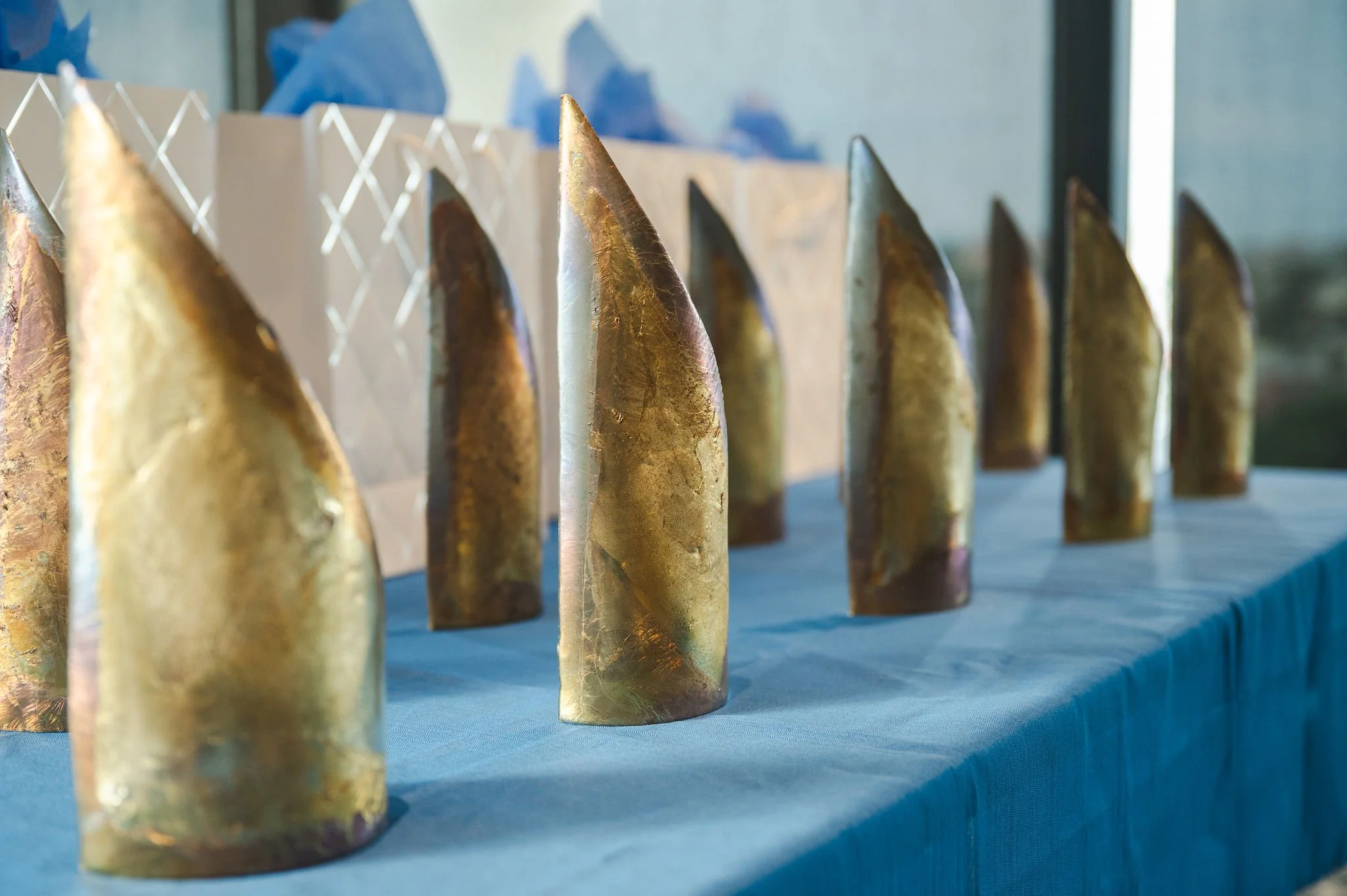 CODAwards25_THeath-19.jpg