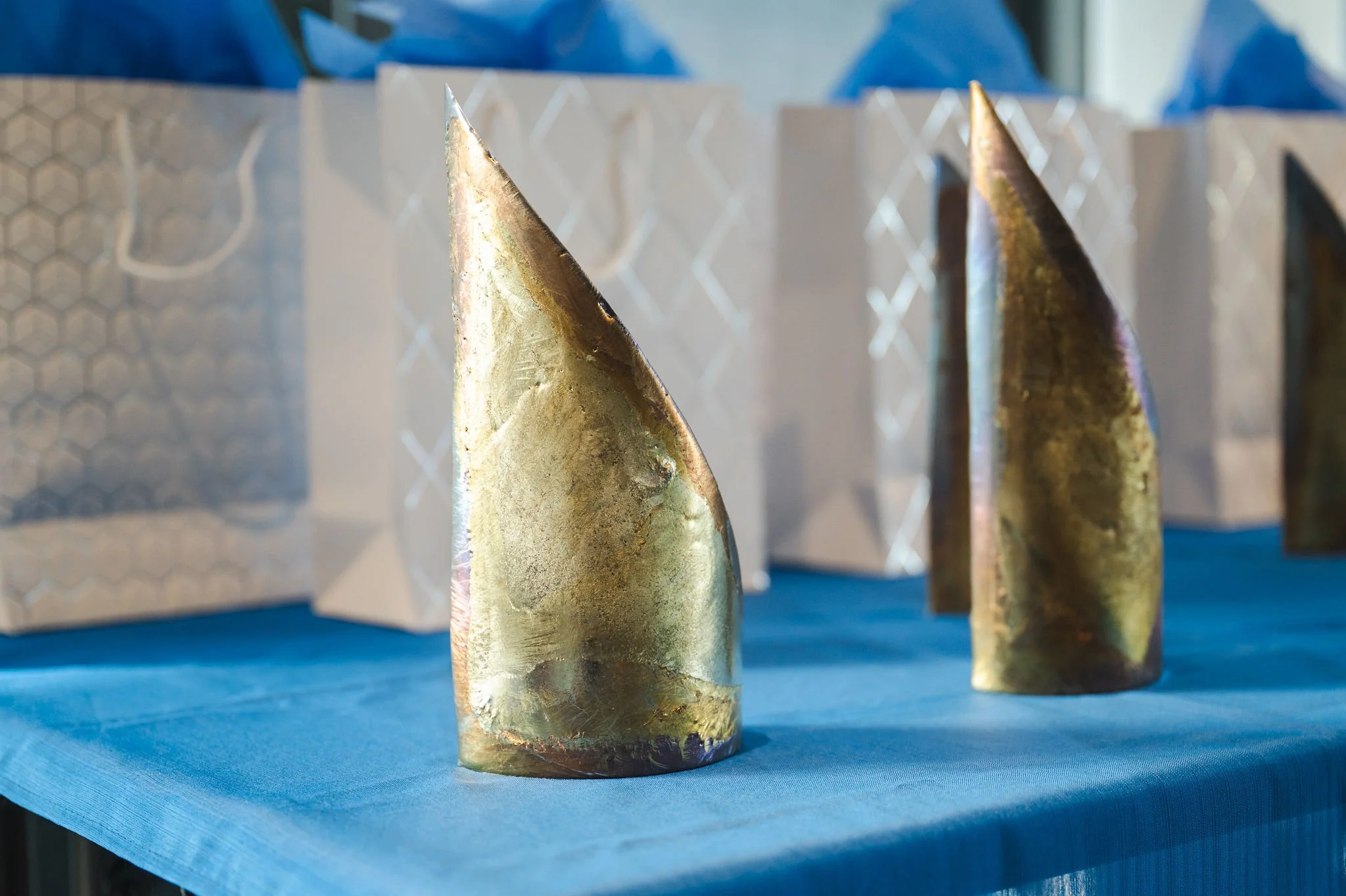 CODAwards25_THeath-16.jpg