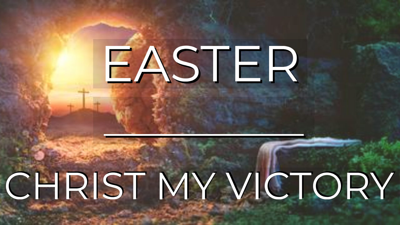 Adobe_Post_20190412_171125.png
