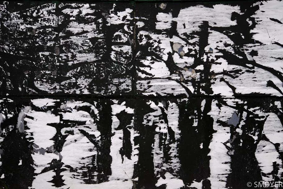 trees