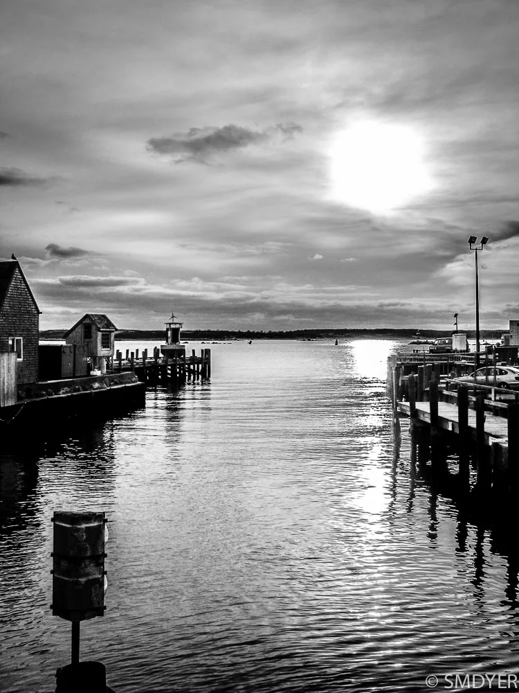 harbor.jpg