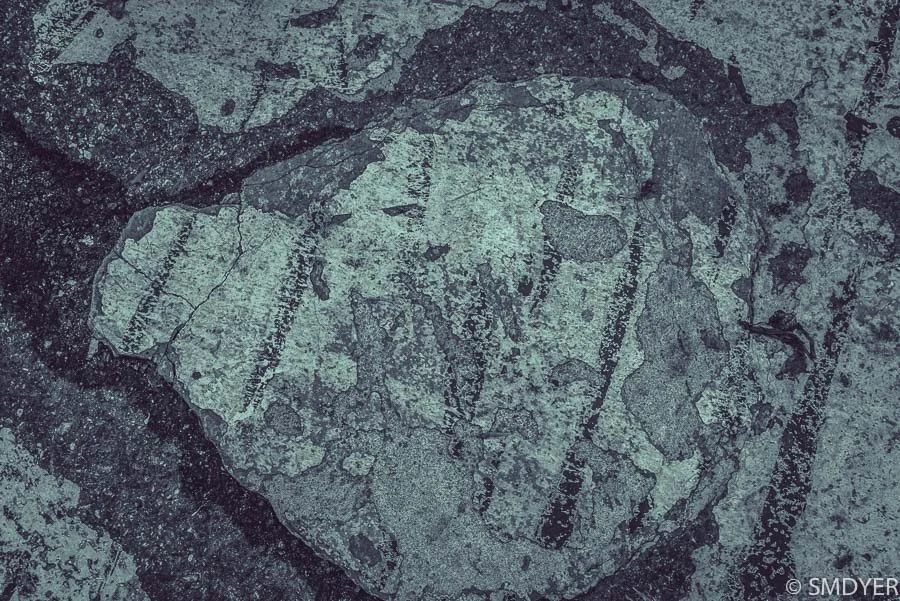 Ancien When I saw ‘the vase’, I was mesmerized by the way time created the image. I could feel every person who trampled over it, every raindrop, and snowflake that fell. Each touch, every fragment that broke away, molding what you see before you. The Egyptians believed the color green gives protection. Bathing the image in an ancient green, solidified the textures, and now protects the image from time. I am thrilled with the results! This image can also be found on the set of HBO’s Succession. 36 x 24, archival pigment print on cotton museum rag, acrylic glaze, frameless ED frame Limited Edition of 24 other sizes available