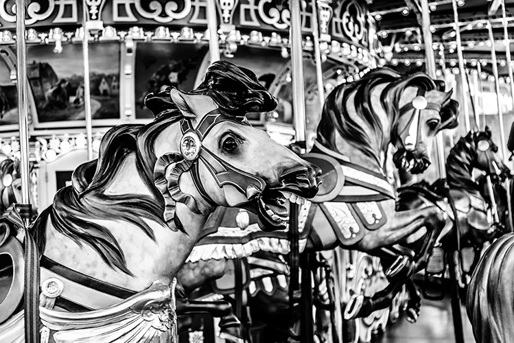 520_Horses_ProPhoto_DSC_7295_ME.jpg