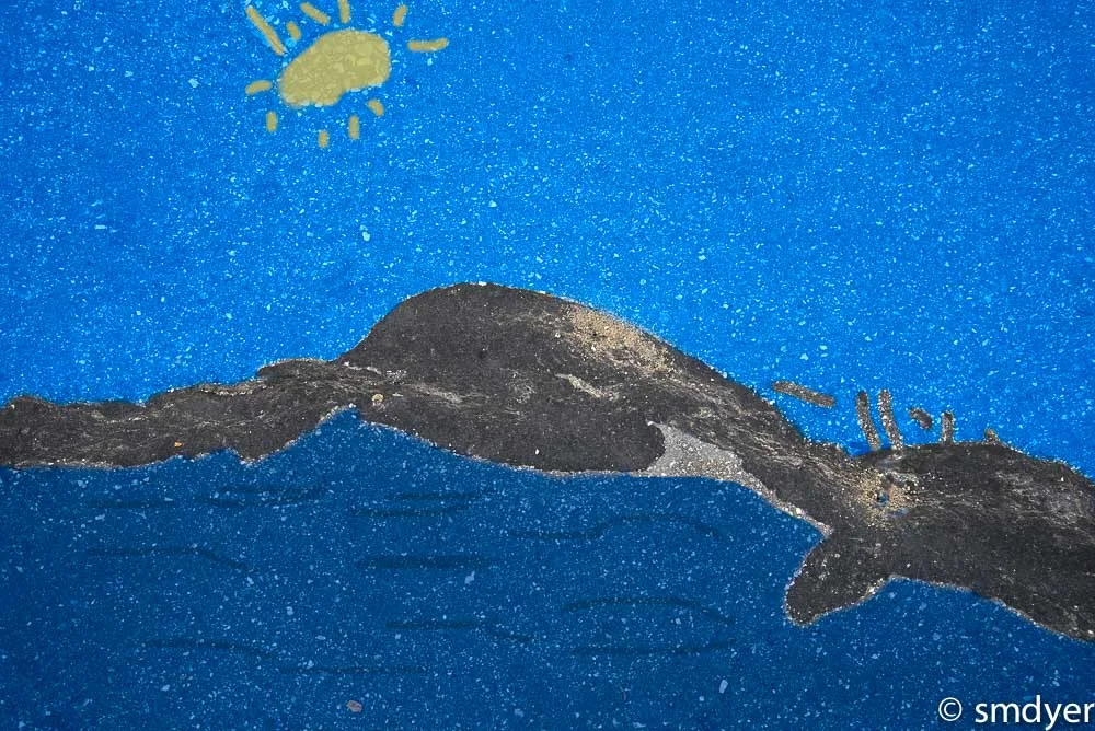 The Dolphins