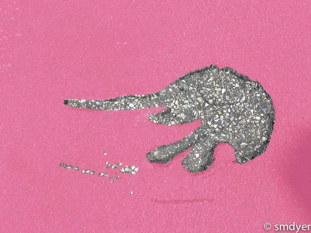 The Elephant