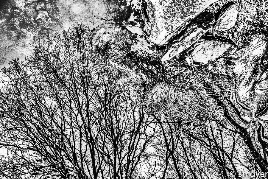 Untitled 9