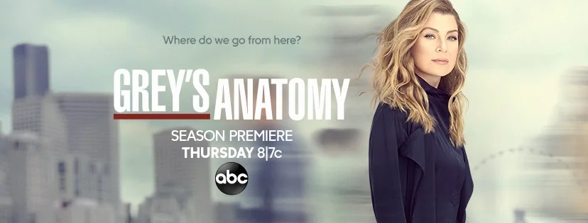 "Hush (feat. Garrison Starr)" by Seibold featured on Grey's Anatomy!