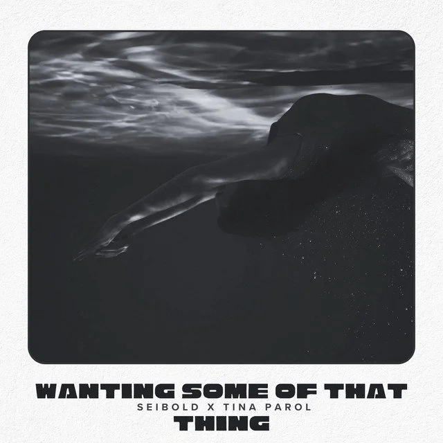Rick Seibold &amp; Tina Parol Serve Up Irresistible New Single “Wanting Some of that Thing” Out Now