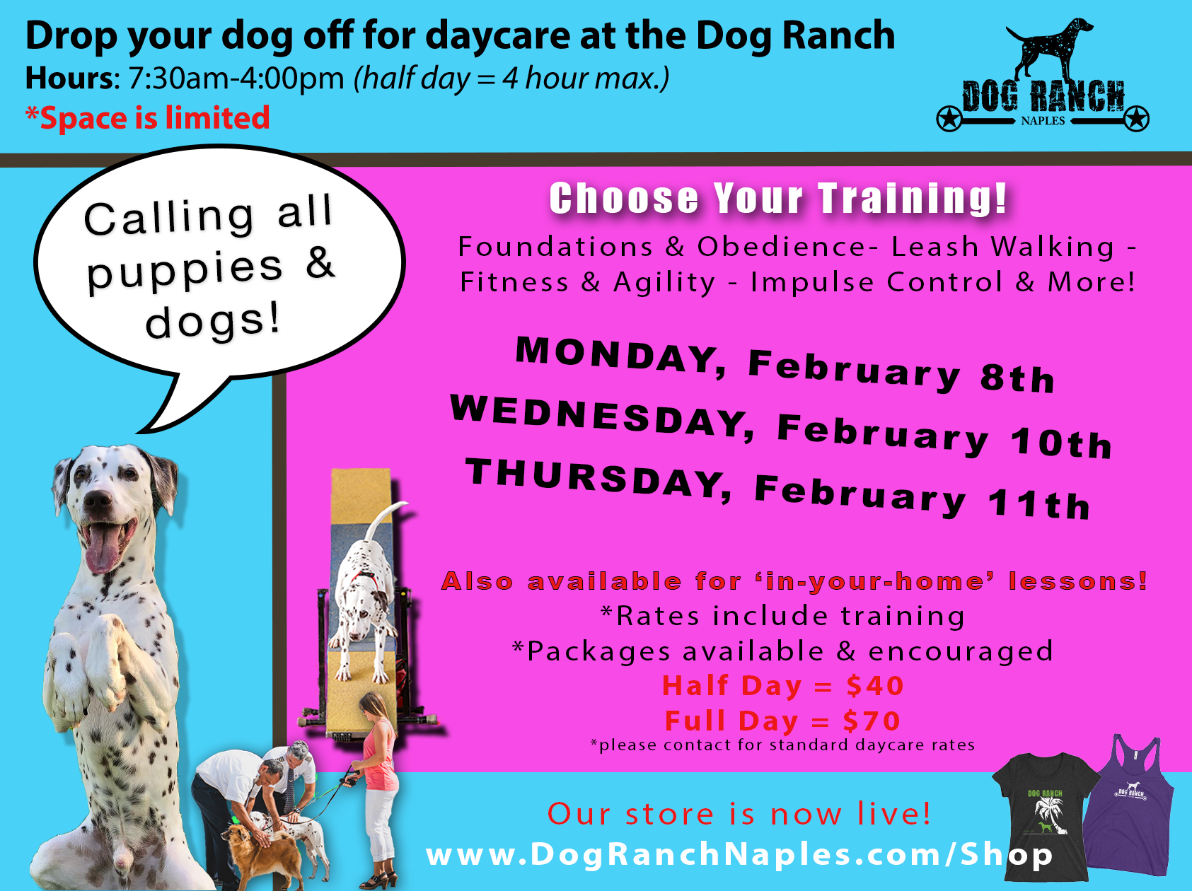 Daycare — Dog Ranch Naples