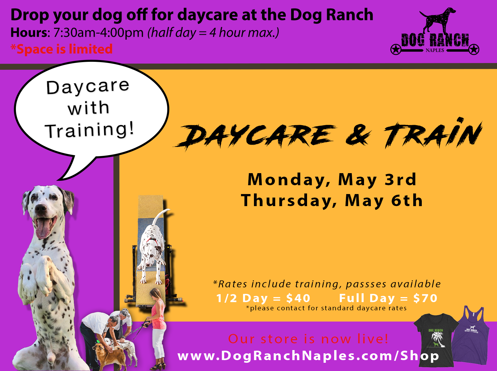 Daycare — Dog Ranch Naples