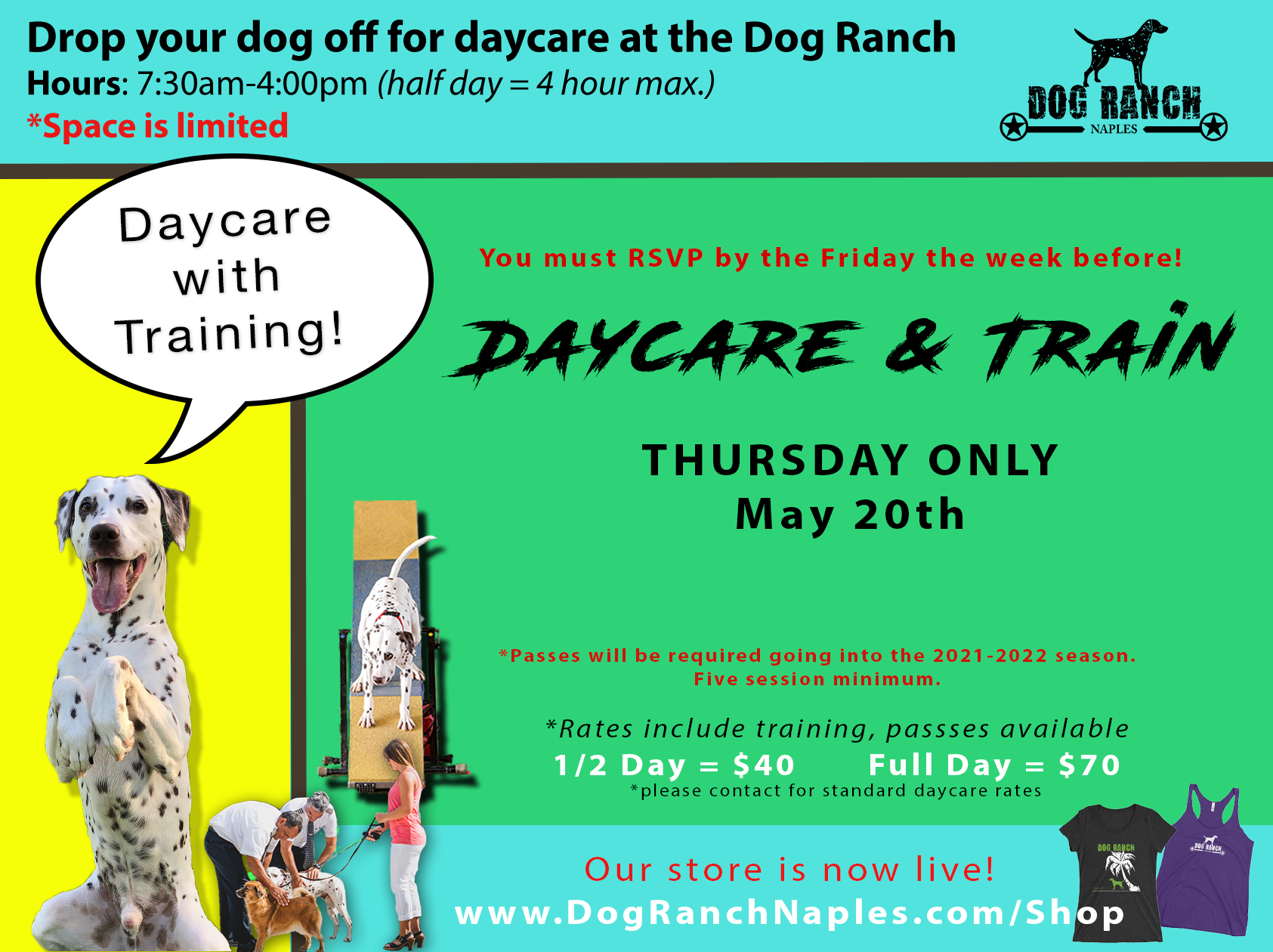 Daycare — Dog Ranch Naples