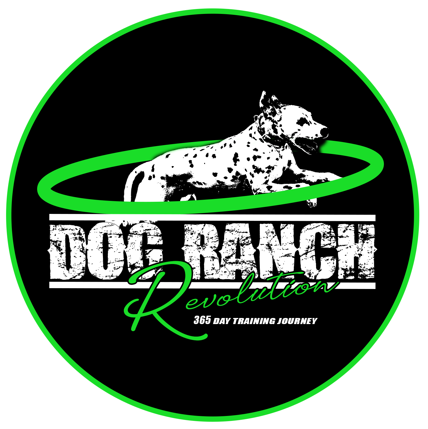 DAY 61 OF 365, 5 months: 11-19-23