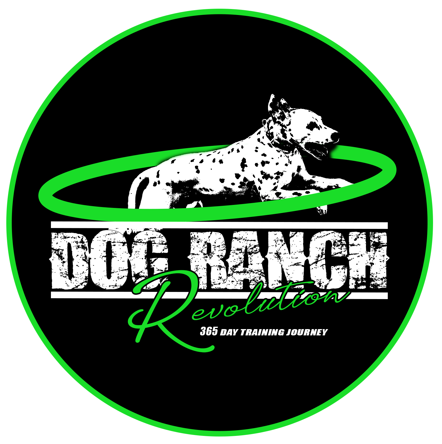 DAY 77 OF 365, 5 months: 12-5-23