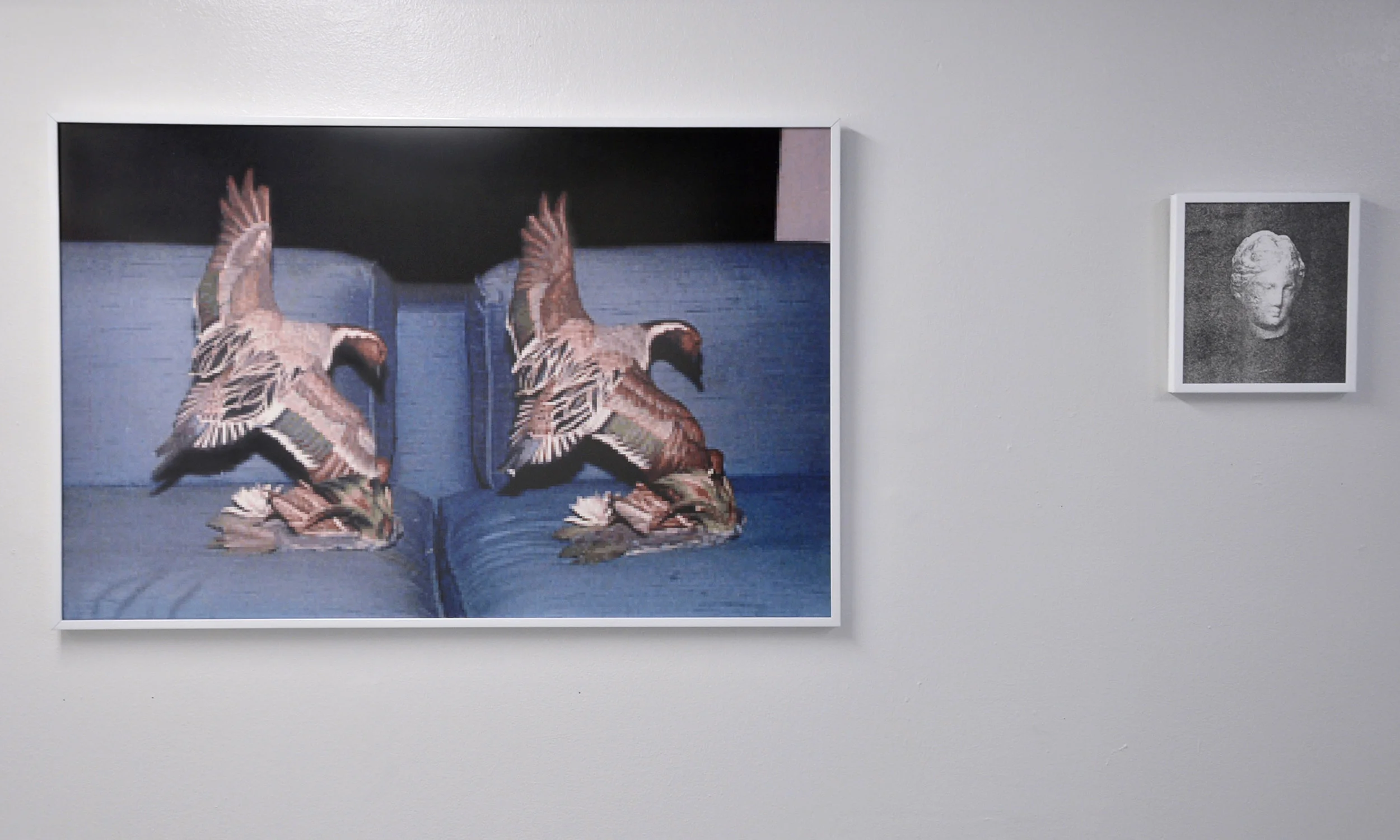 Installation view of Altered States at Valet