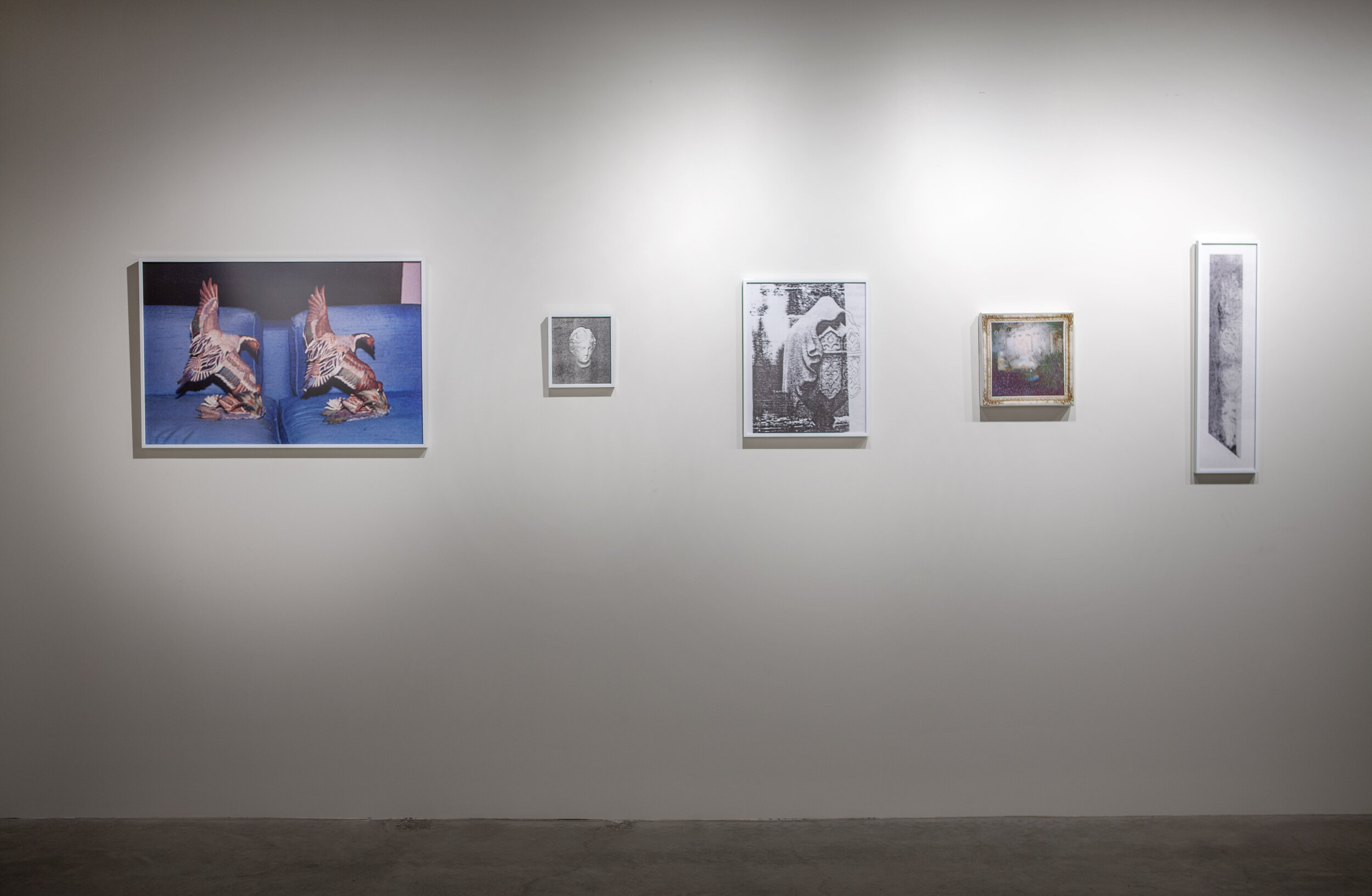  Installation view of  Altered States  at AAHD Gallery, University of Notre Dame 