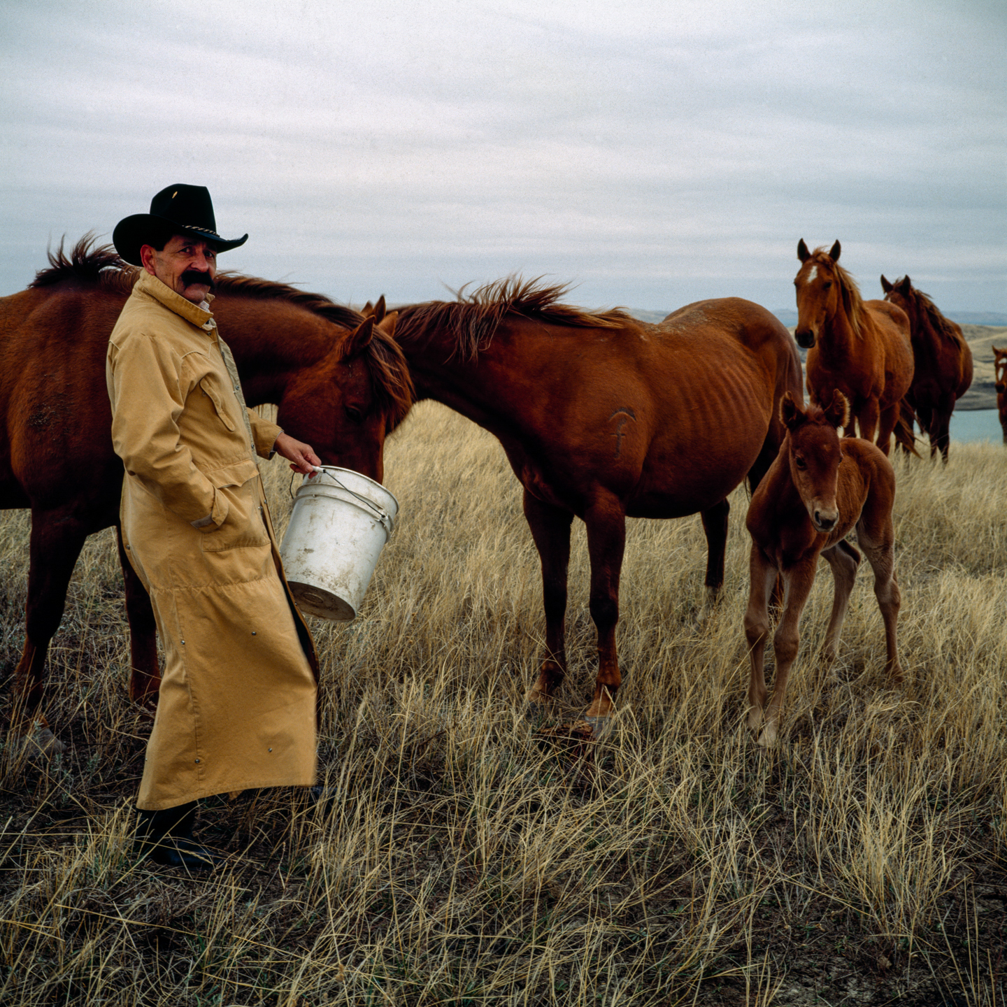 Wayne Ducheneaux