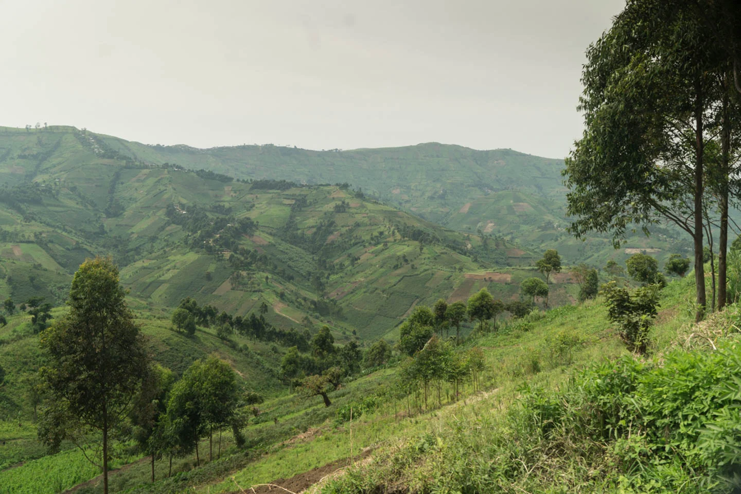 On the road outside of Misissi, Congo, the road overlooks the beautiful and rich agricultural land.