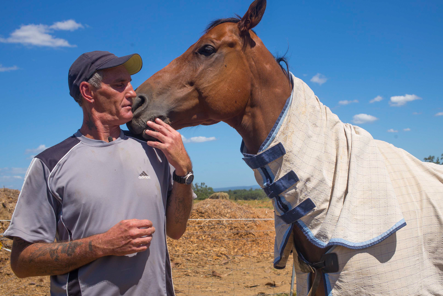 Darryl, manager of the carpentry shop, didn't speak for a year after arriving at Cana Farm. Recovering from years of drug abuse, he found solace and solidarity by rehabilitating an abused, retired racehorse.