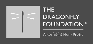 dragonfly-logo-dfBoth.jpg