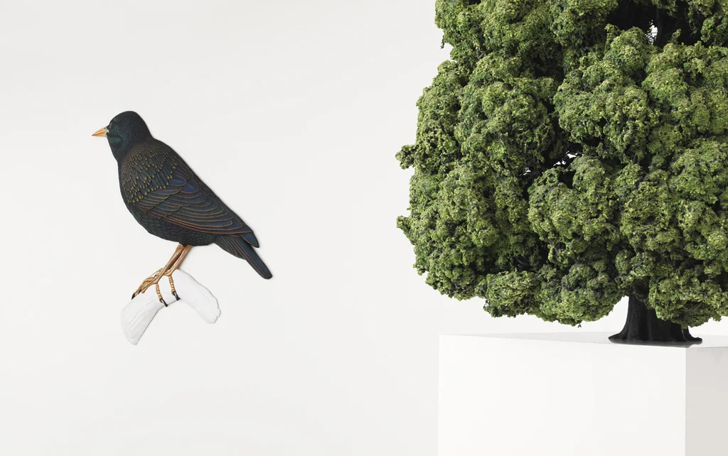 Installation view of Martin Honert’s Vogel/Starling , 1992 and Linde/Linden , 1990. MMK Museum für Moderne Kunst Frankfurt am Main Acquired with funding from the Margarethe and Gustav Kober Donation, 2005/101 © Martin Honert/SODRAC (2013) Photo: Rachel Topham, Vancouver Art Gallery