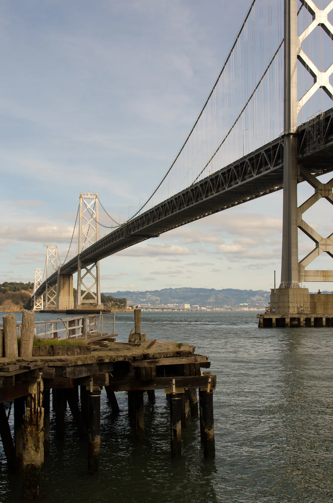 SF, SV Turkey Trot 11.11-9.jpg