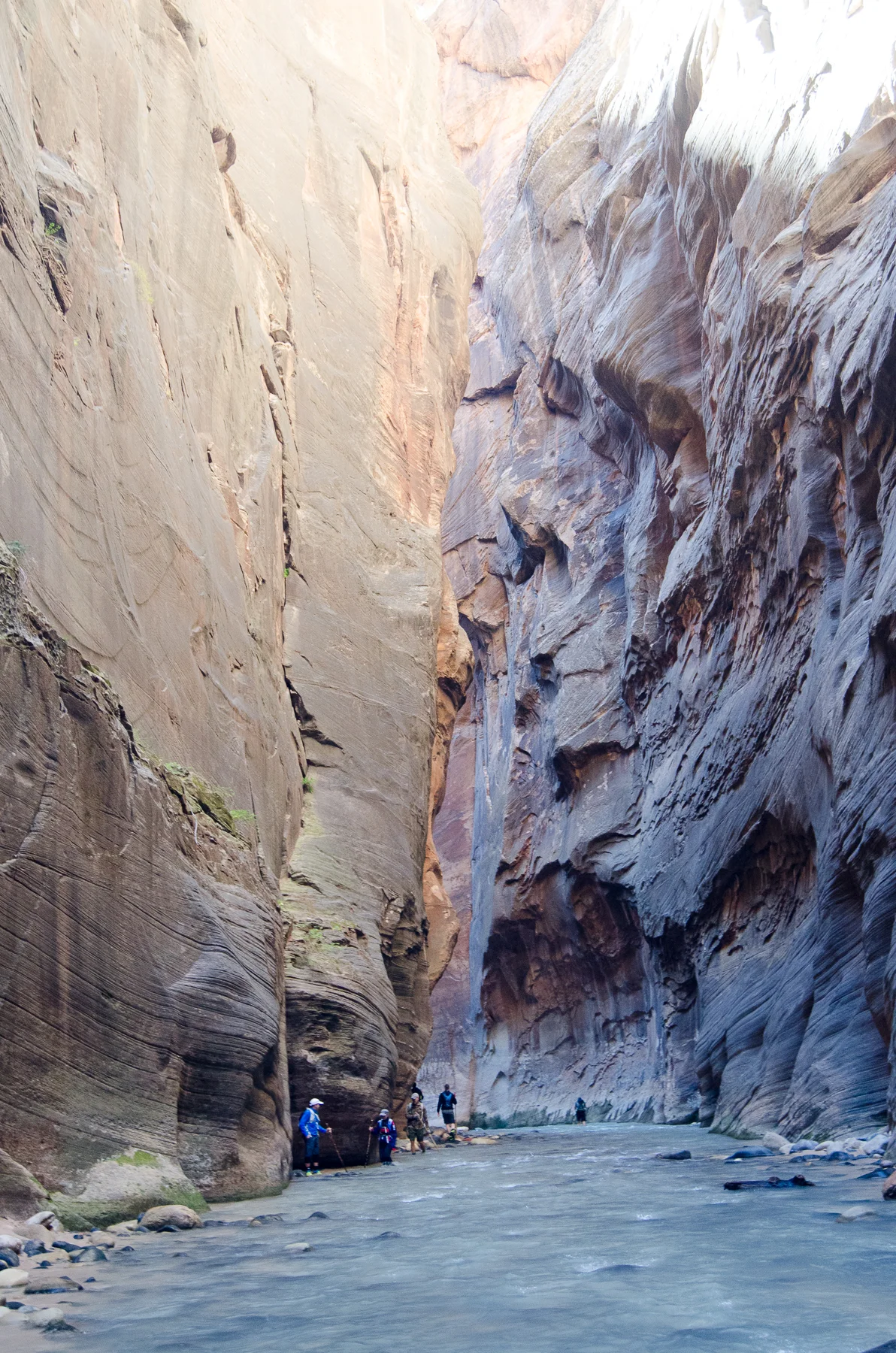 The Narrows make for an excellent adventure, when the conditions permit. Rent water shoes and a walking stick. Don't be afraid of falling. 
