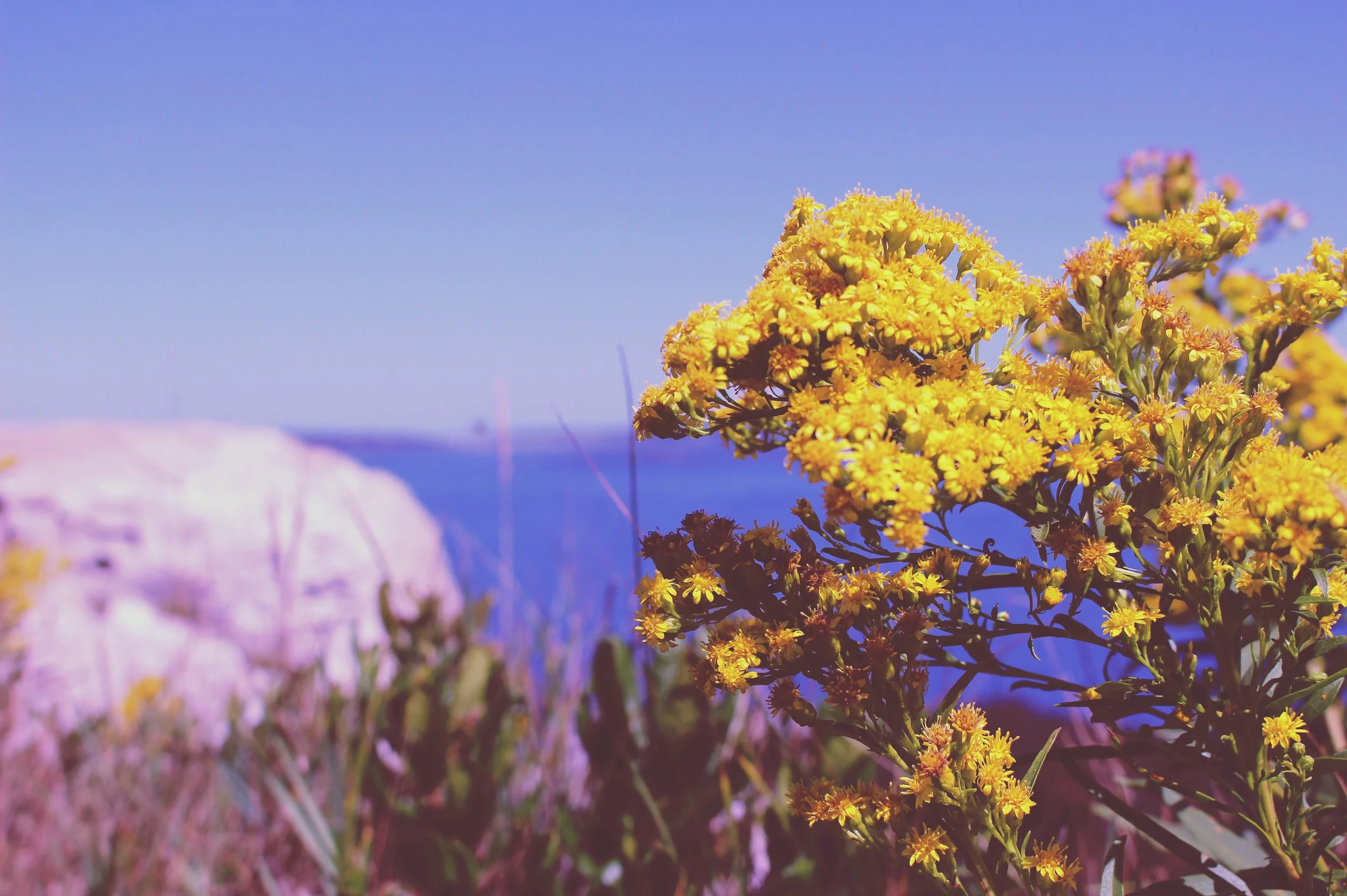 Prouts Neck, Scarborough