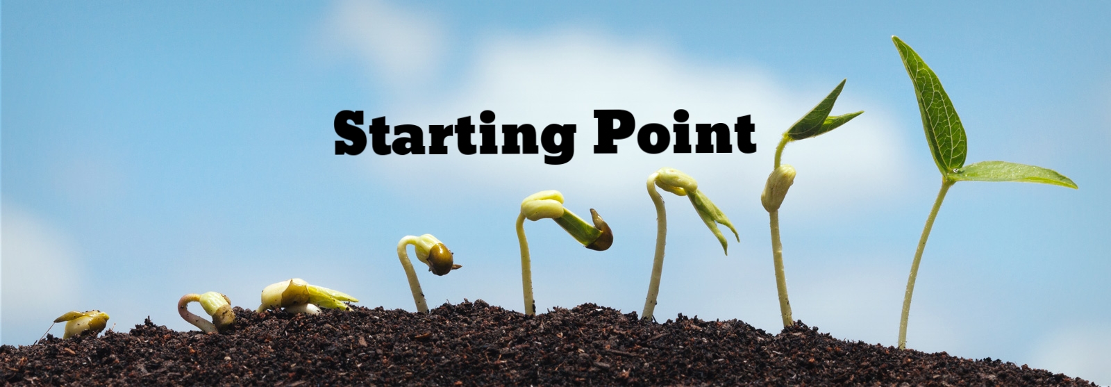 Grow-StartingPoint2.jpg
