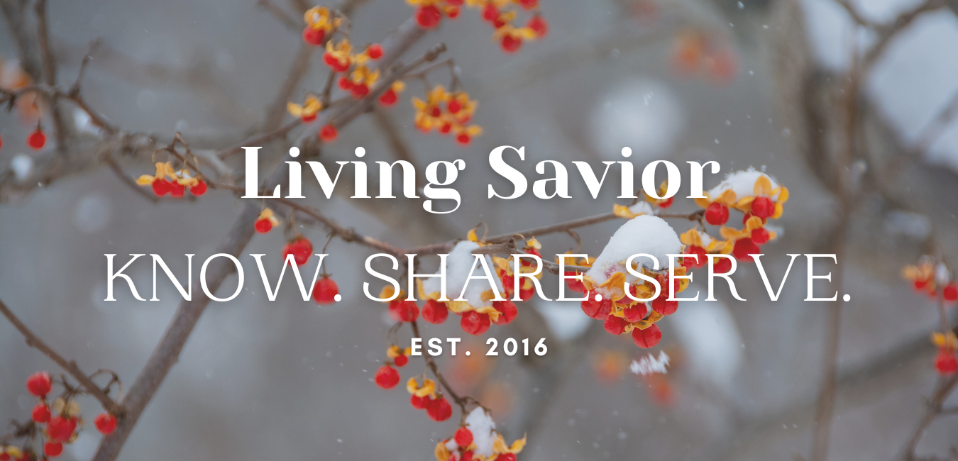 Living Savior Lutheran Church