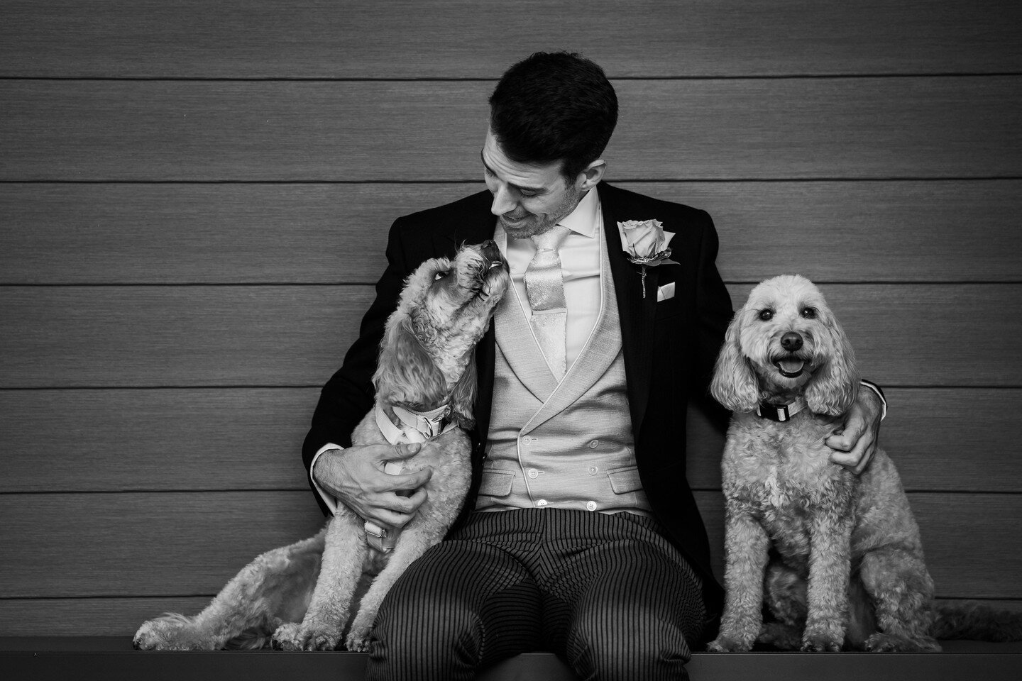 DOGS 

Can we have our dogs at the ceremony?⁠
⁠
As long as it's ok with the venue, it's an absolute yes from us! ⁠
⁠
Meet Paddy and Pippa. THE most adorable duo, who are very much at the heart of the family. ⁠
⁠
Sporting his ' n ' hers outfits, they 