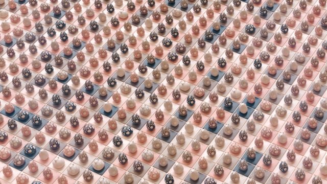 Step Together