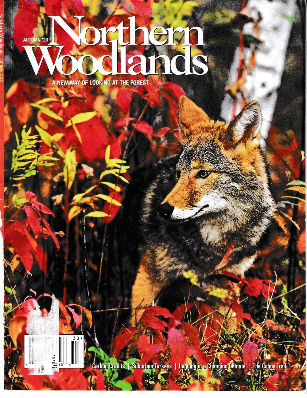 Northern Woodlands Autumn 2020_Page_1.jpg