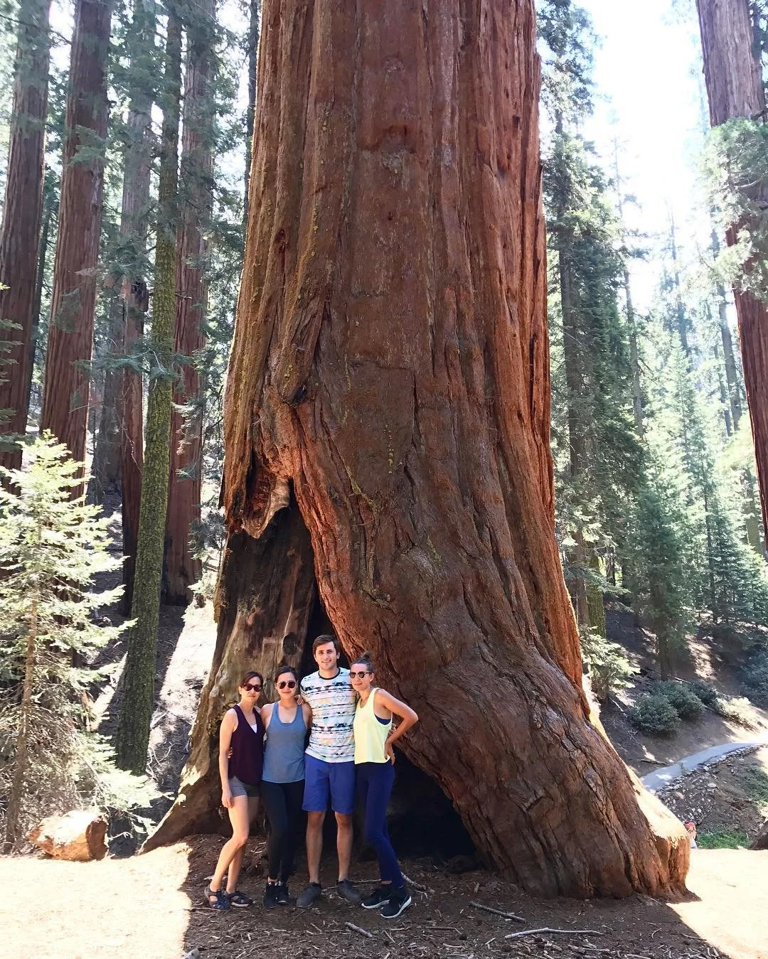 Had an amazing time with the family in sequoia!!!